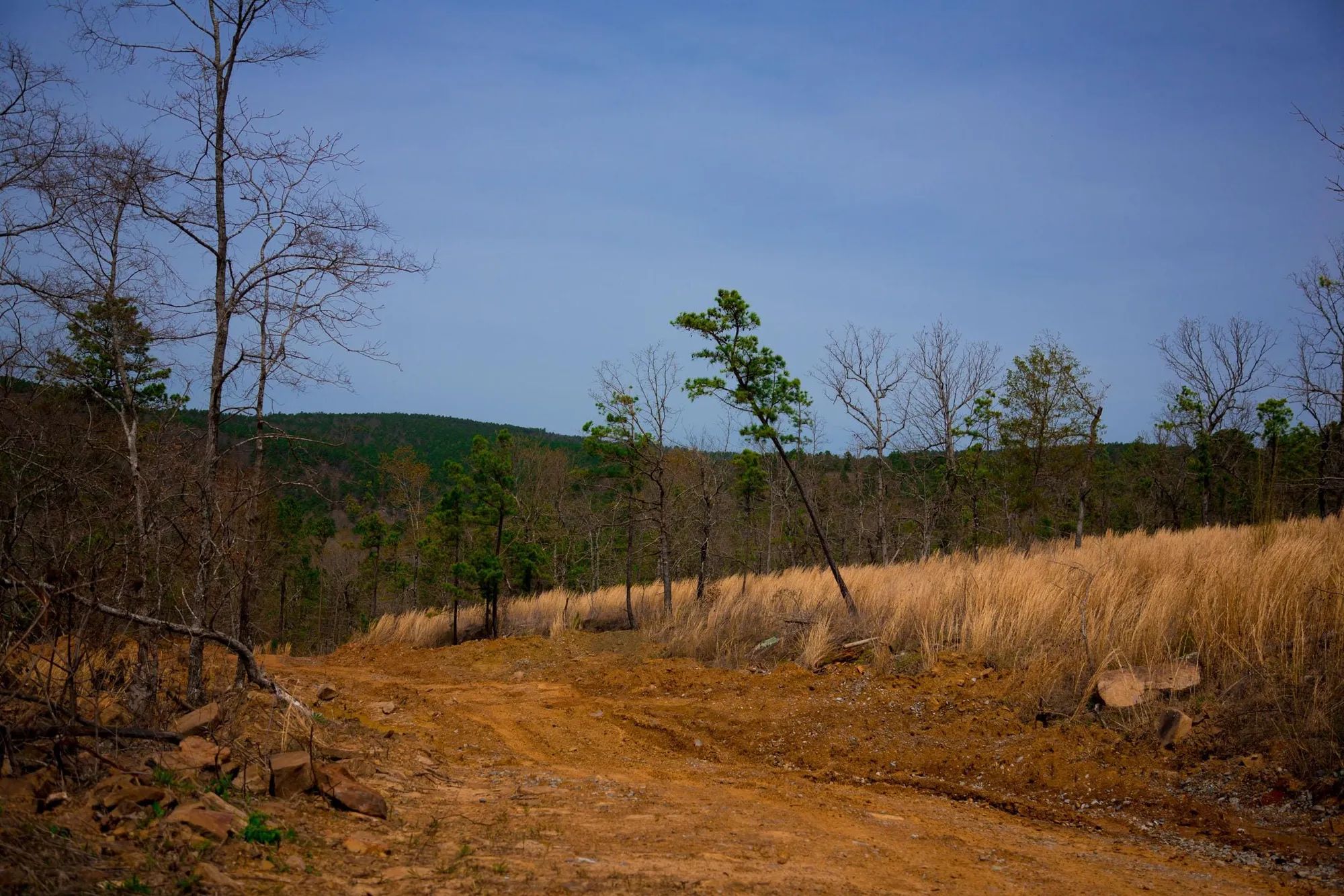 Stone Creek Phase II Tract 203 in Latimer County, OK