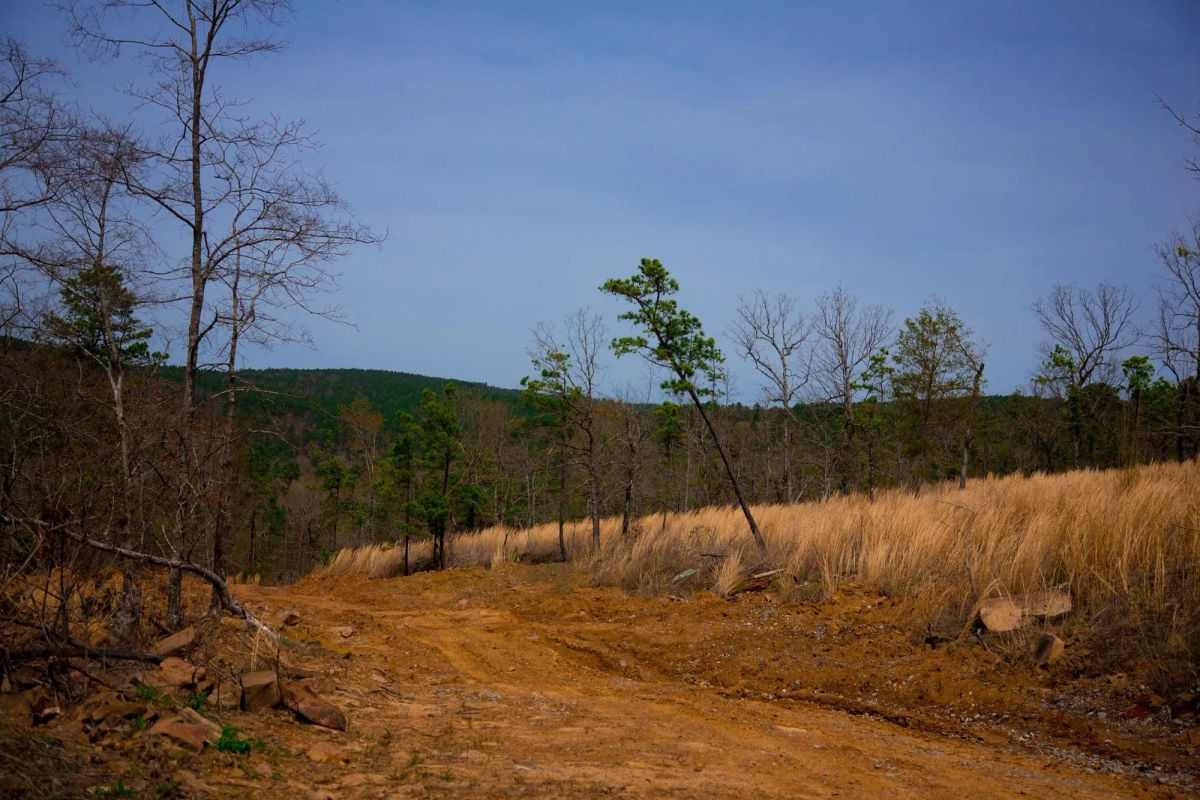 Stone Creek Phase II Tract 203 - Image 2
