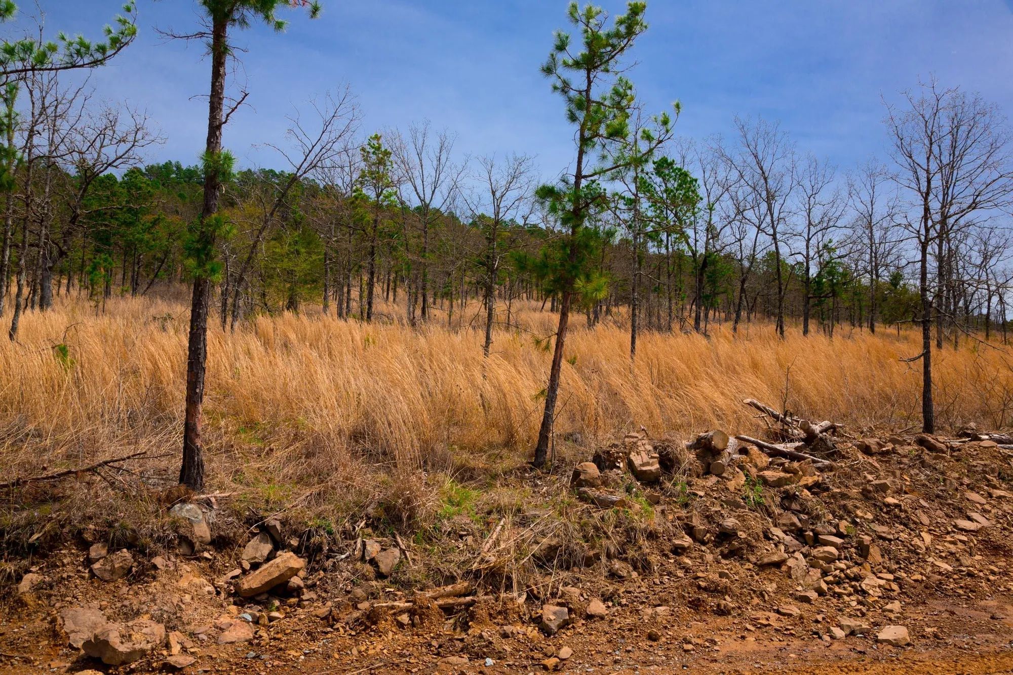 Stone Creek Phase II Tract 203 in Latimer County, OK