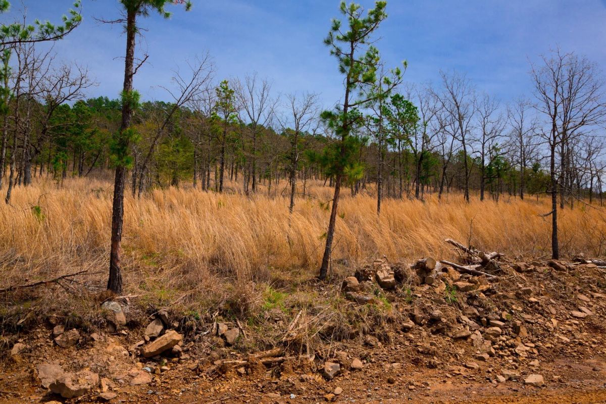Stone Creek Phase II Tract 203 - Image 3