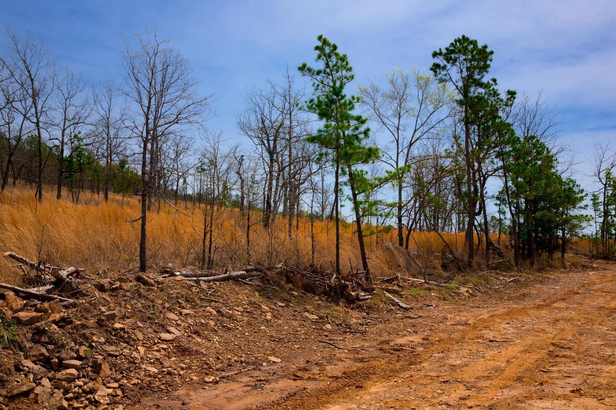 Stone Creek Phase II Tract 203 in Latimer County, OK