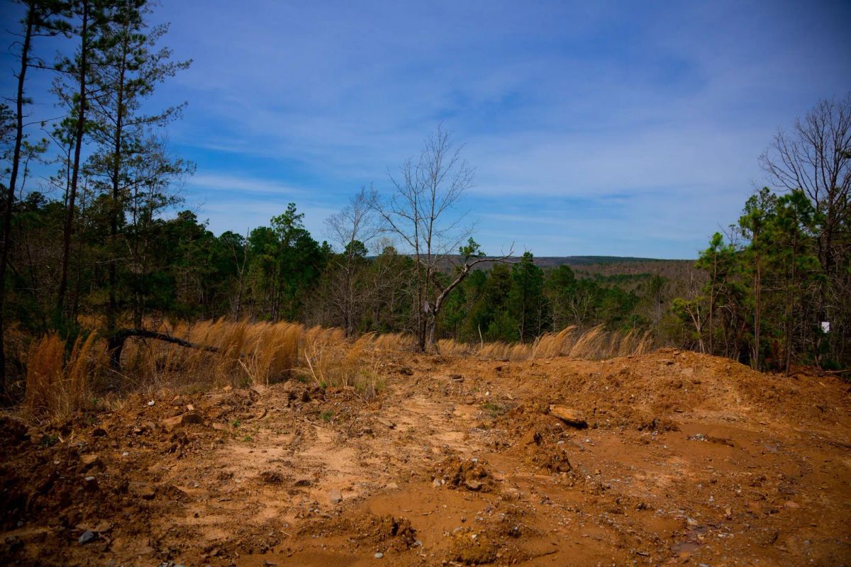 Decorative background for Stone Creek Phase II Tract 203 image 6