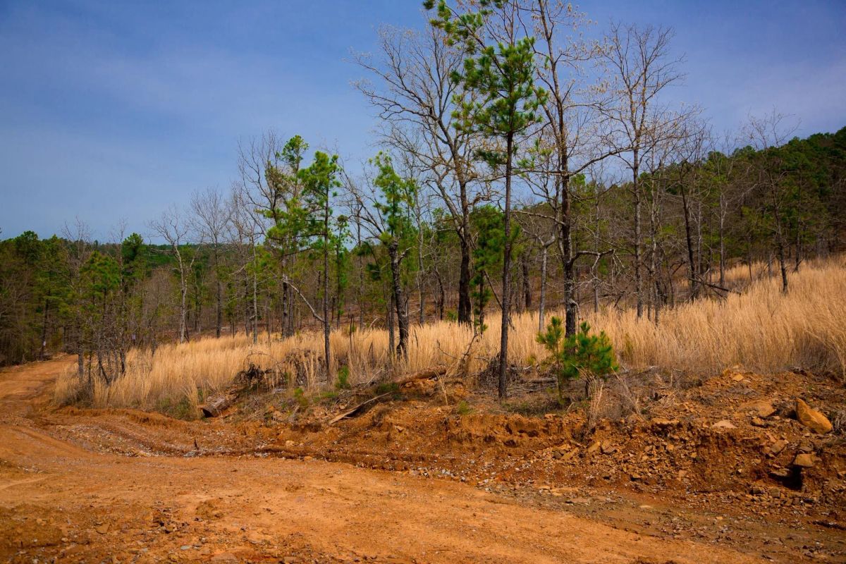Decorative background for Stone Creek Phase II Tract 203 image 7