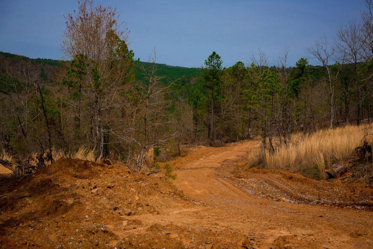 Decorative background for Stone Creek Phase II Tract 203 image 9