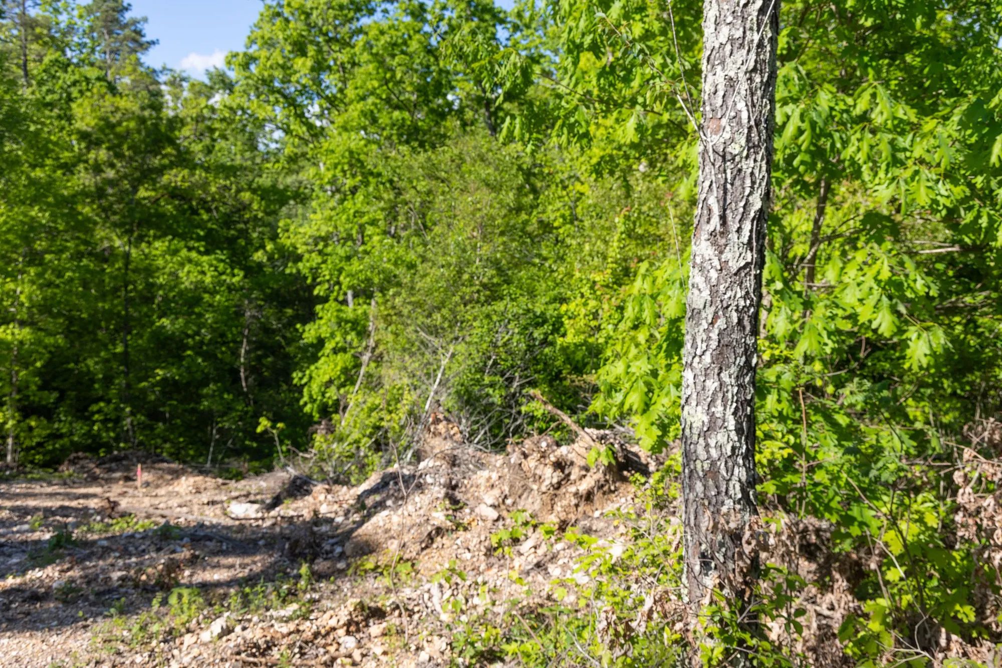 Sleepy Hollow Phase II Tract 65 in Texas County, MO