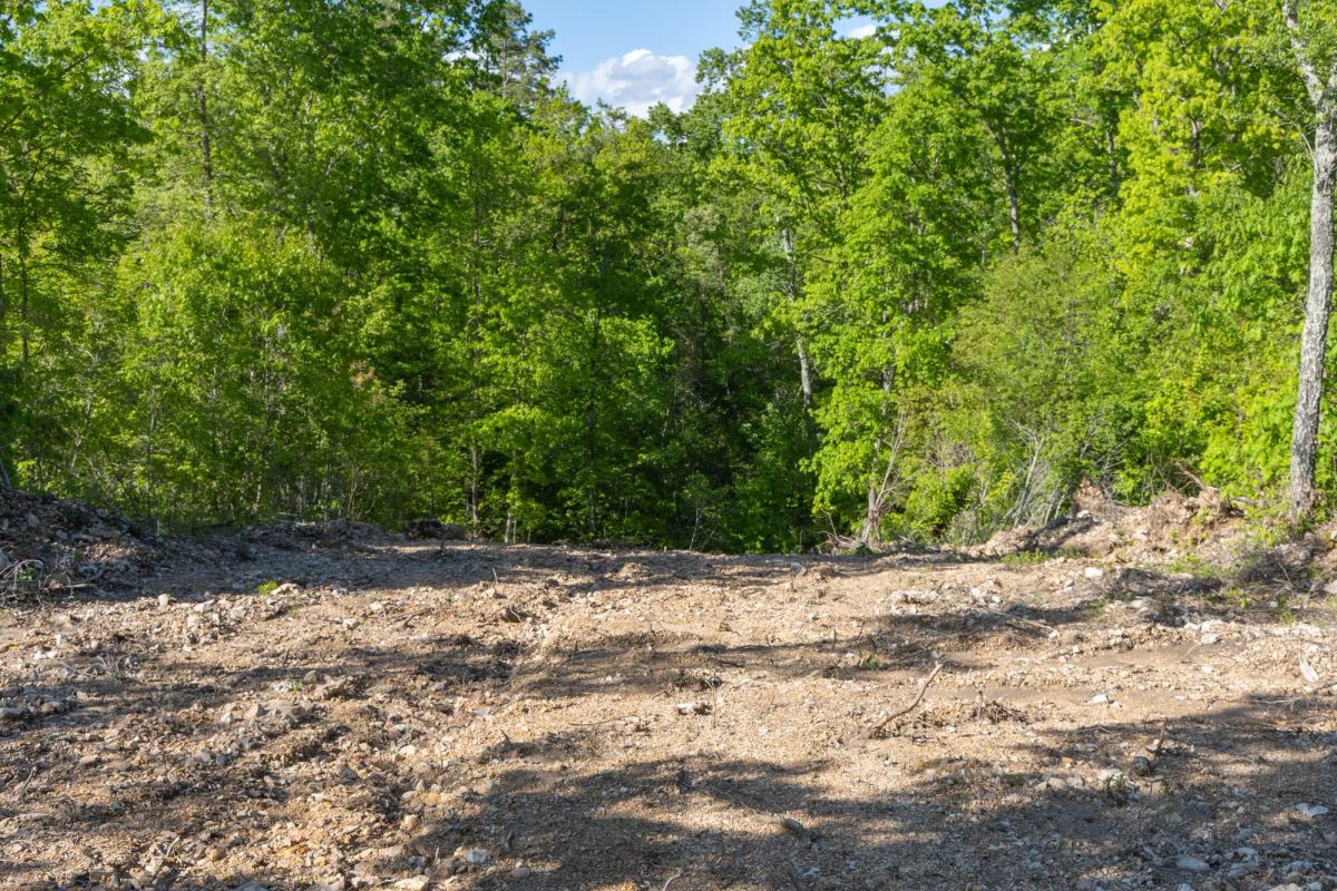 Decorative background for Sleepy Hollow Phase II Tract 65 image 9
