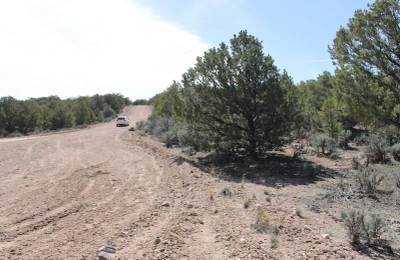 Sangre de Cristo Ranches Tract 959