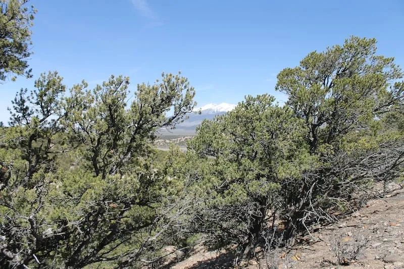 Sangre de Cristo Ranches Tract 959 in Costilla County, CO