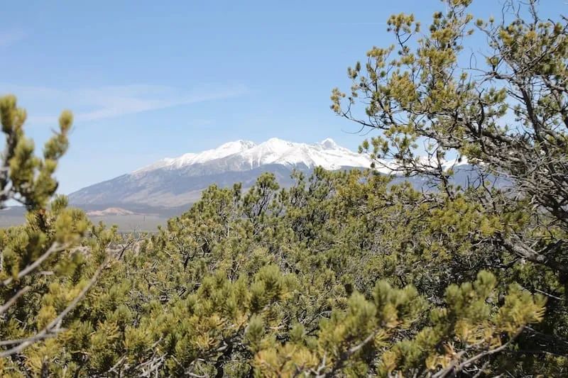 Sangre de Cristo Ranches Tract 959 - Image 4