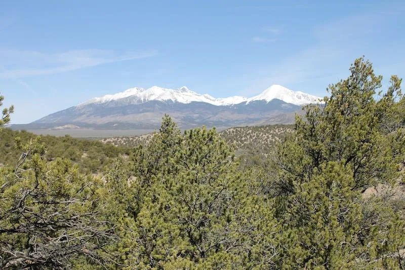 Decorative background for Sangre de Cristo Ranches Tract 959 image 7