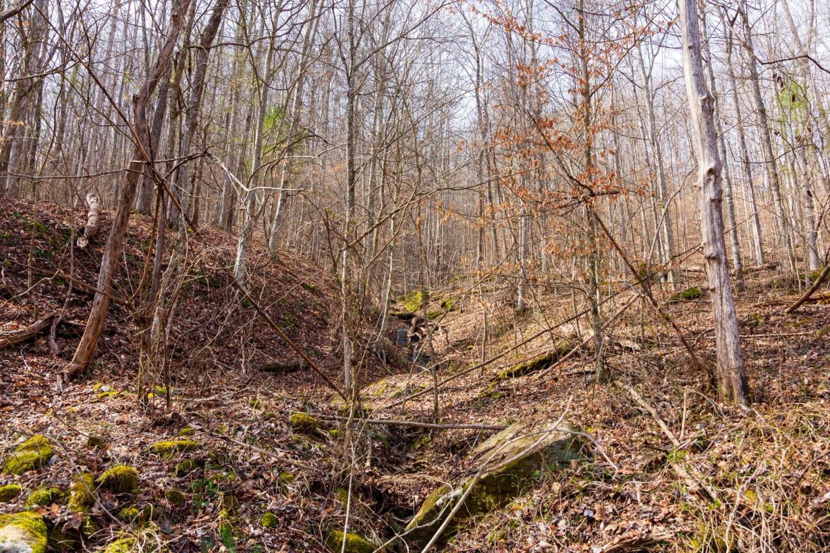 Blackstone Mountain Phase II Tract 66 - Image 3