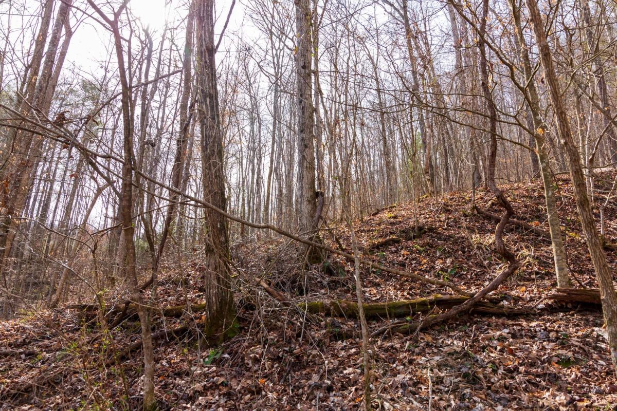 Blackstone Mountain Phase II Tract 66 - Image 4