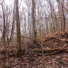 Blackstone Mountain Phase II Tract 66 in Clay County, KY