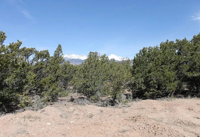 Sangre De Cristo Ranches Tract 5269 in Costilla County, CO