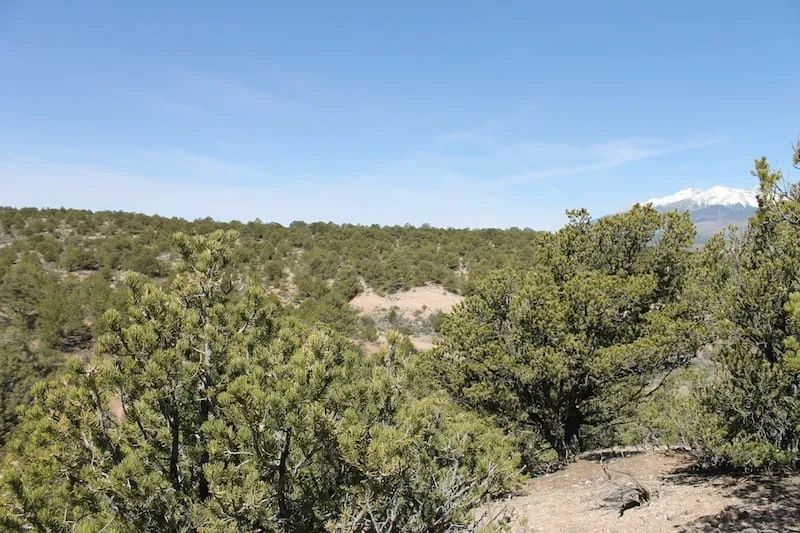 Decorative background for Sangre De Cristo Ranches Tract 5269 image 10