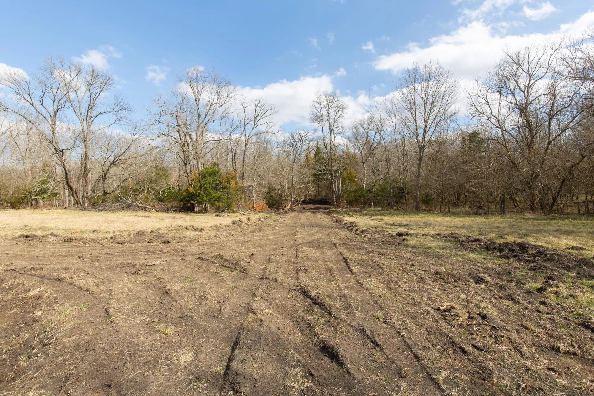 Wishing Star Ranch Tract 65 in Red River County, TX