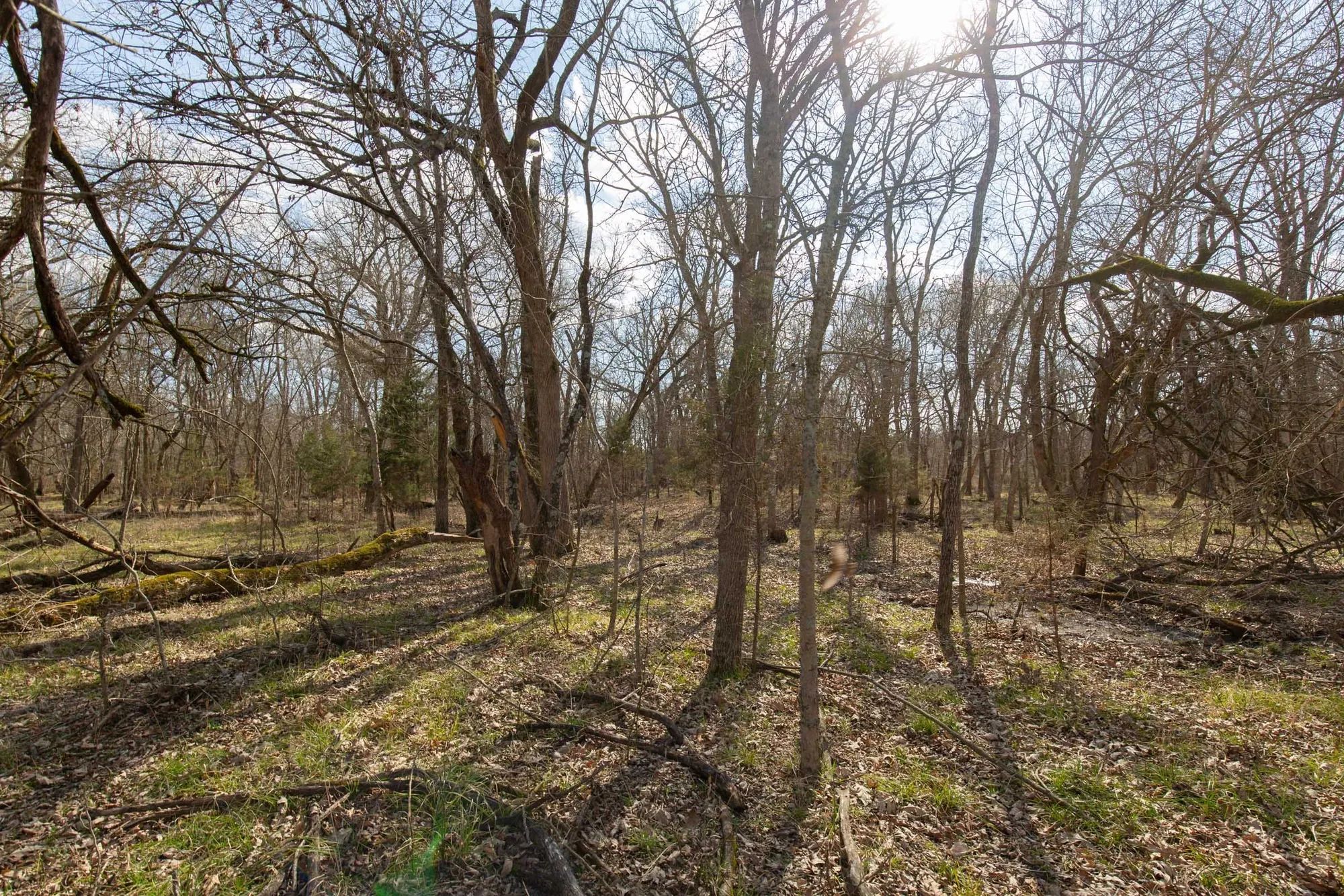 Wishing Star Ranch Tract 65 in Red River County, TX