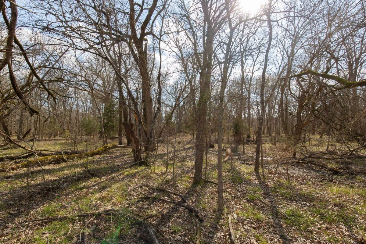 Wishing Star Ranch Tract 65 - Image 3