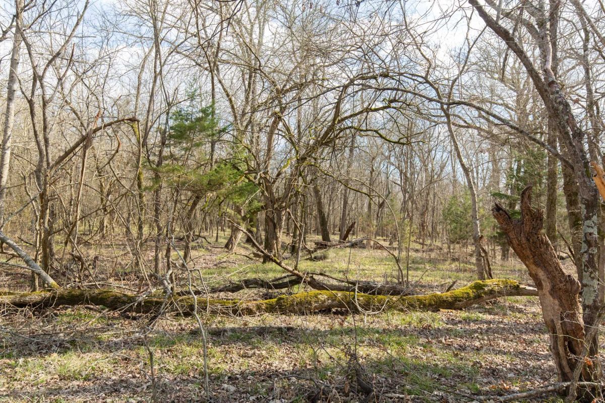 Wishing Star Ranch Tract 65 - Image 4
