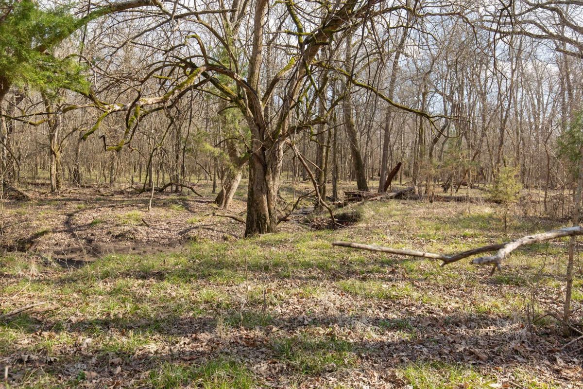 Decorative background for Wishing Star Ranch Tract 65 image 5