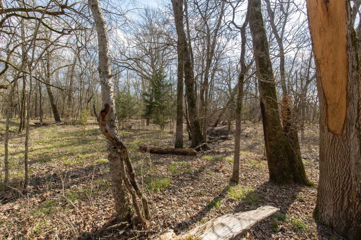 Decorative background for Wishing Star Ranch Tract 65 image 8