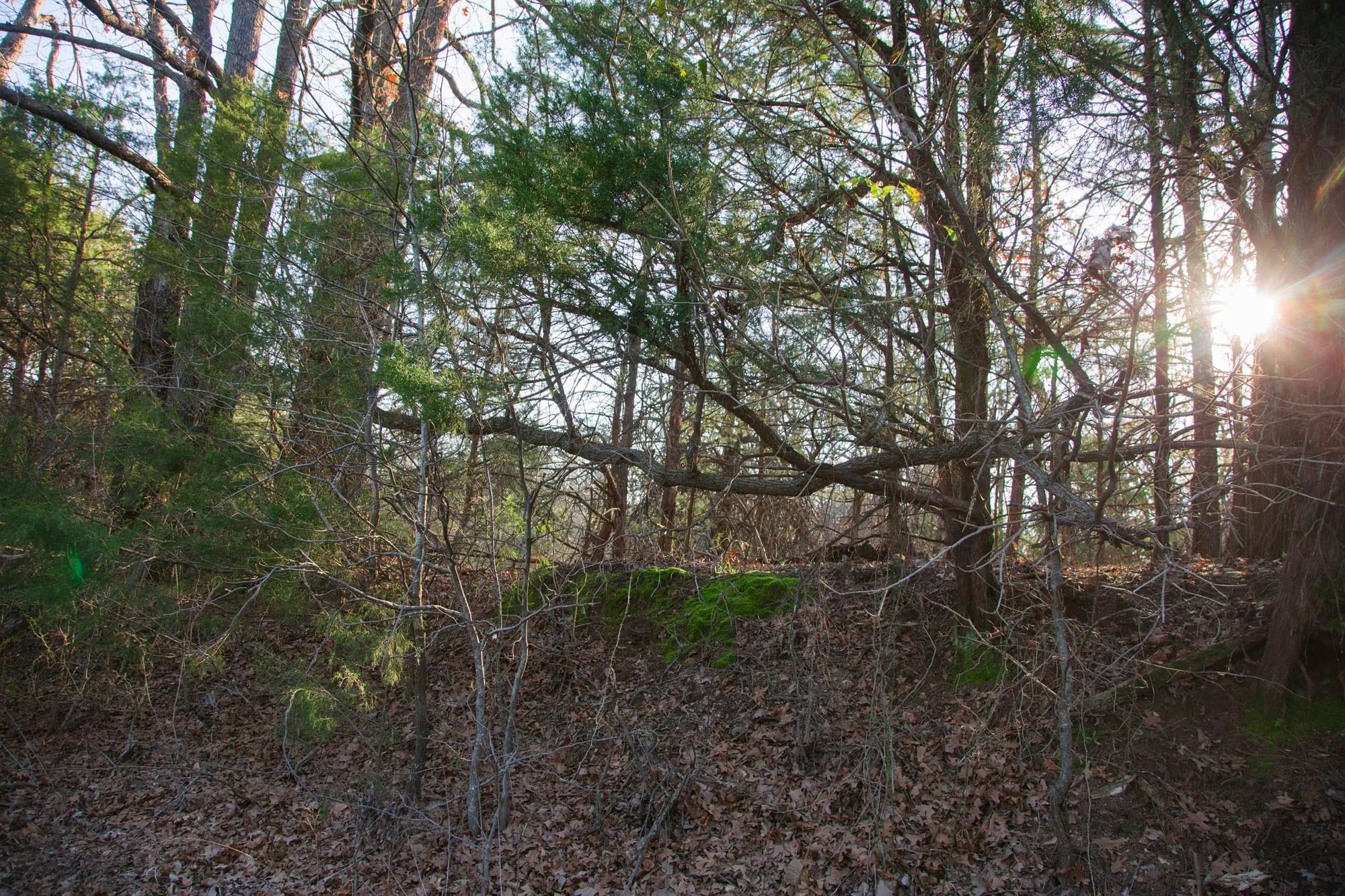 Eufaula Cove Tract 26 in Pittsburg County, OK