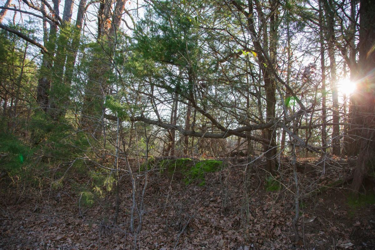 Eufaula Cove Tract 26 - Image 2