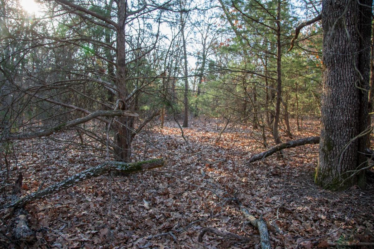 Eufaula Cove Tract 26 - Image 3