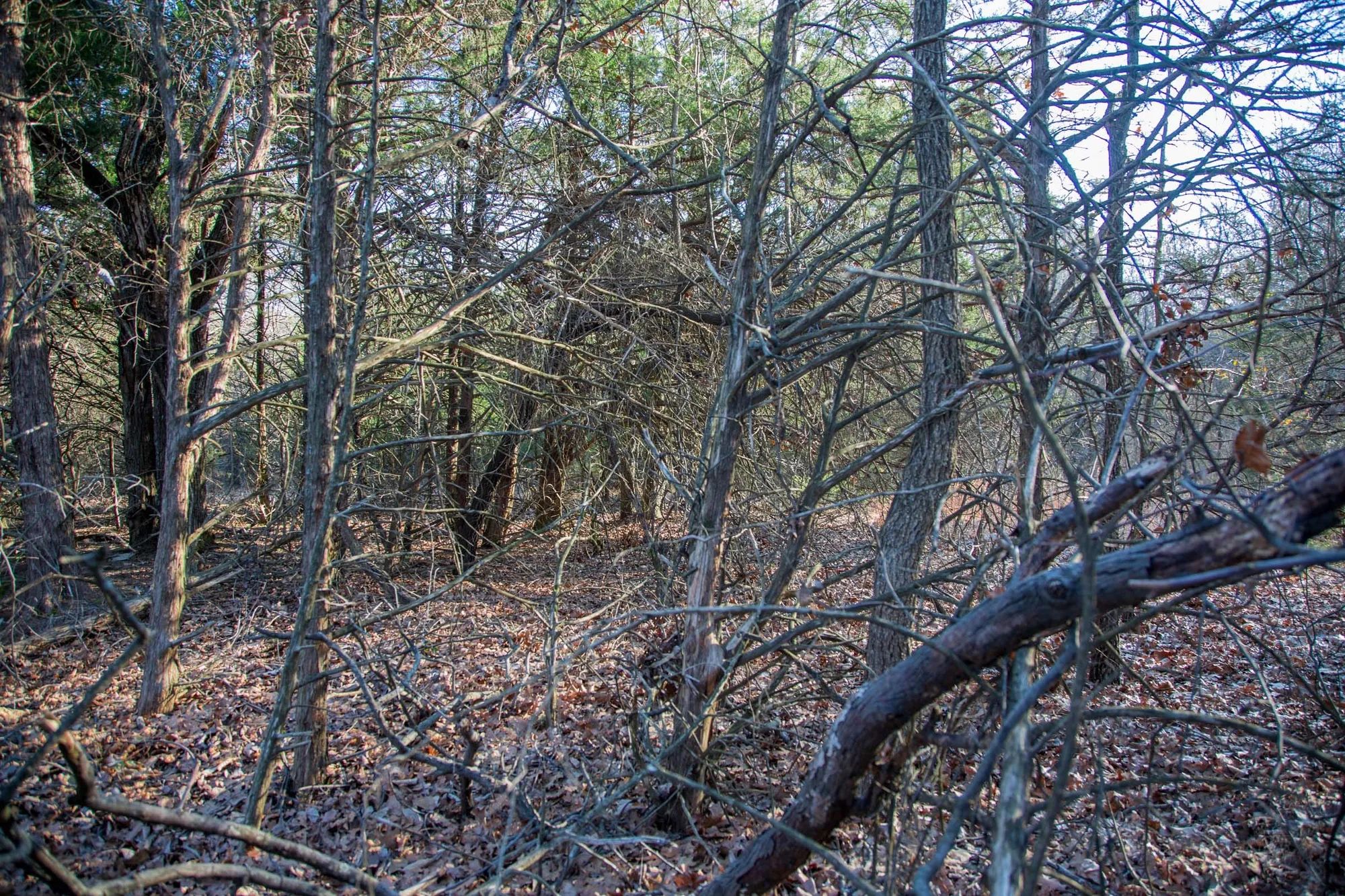 Eufaula Cove Tract 26 in Pittsburg County, OK