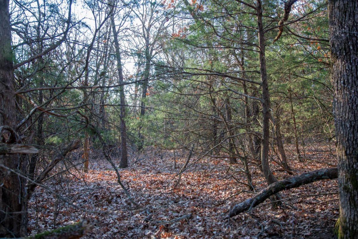 Decorative background for Eufaula Cove Tract 26 image 7