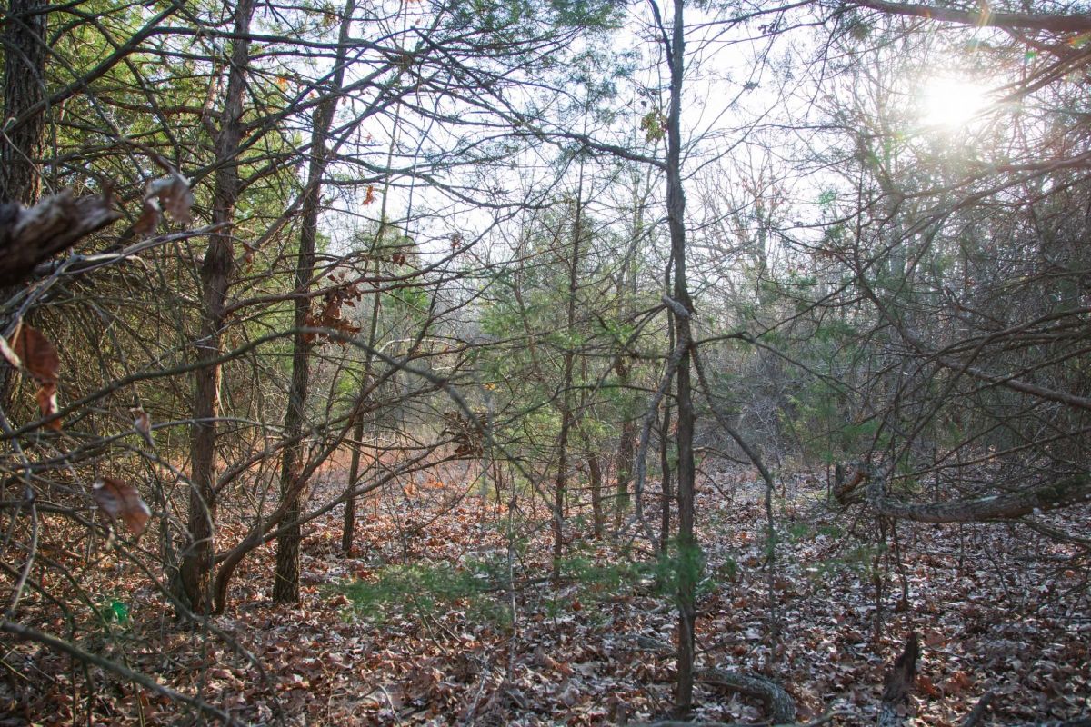Decorative background for Eufaula Cove Tract 26 image 8