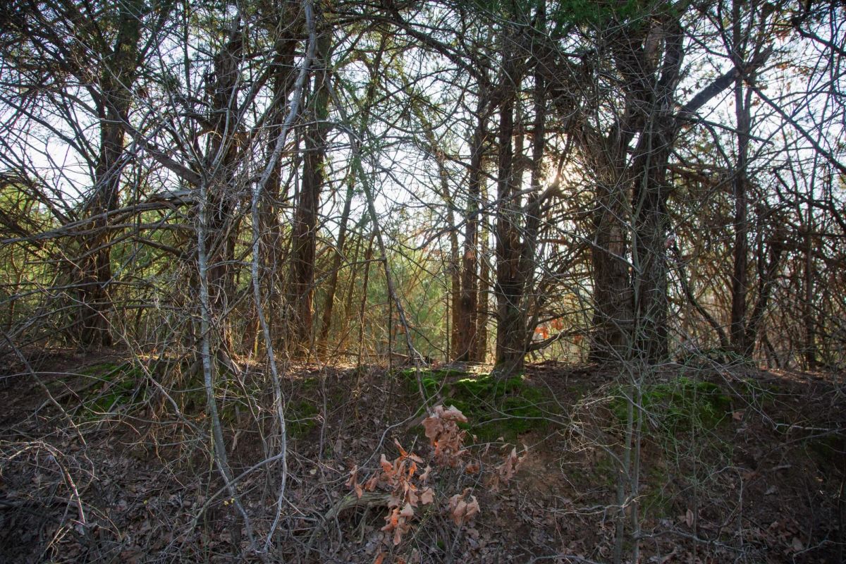 Decorative background for Eufaula Cove Tract 26 image 9