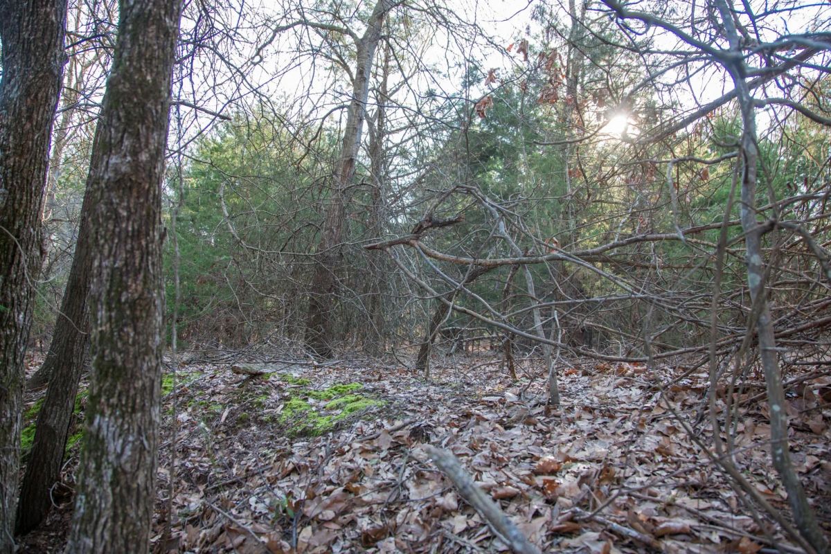 Decorative background for Eufaula Cove Tract 26 image 12