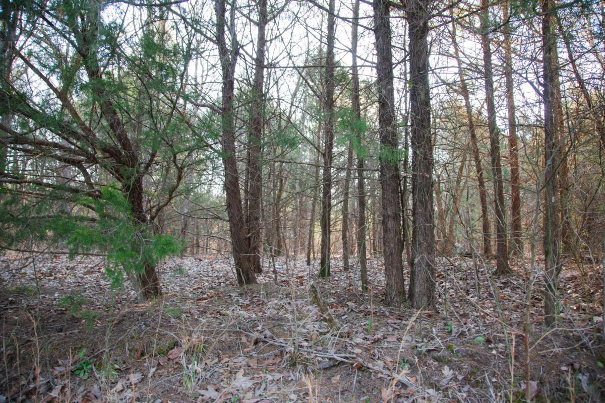 Decorative background for Eufaula Cove Tract 26 image 13