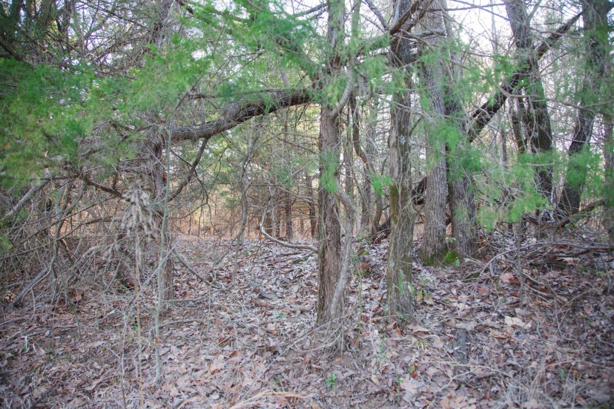 Decorative background for Eufaula Cove Tract 26 image 15