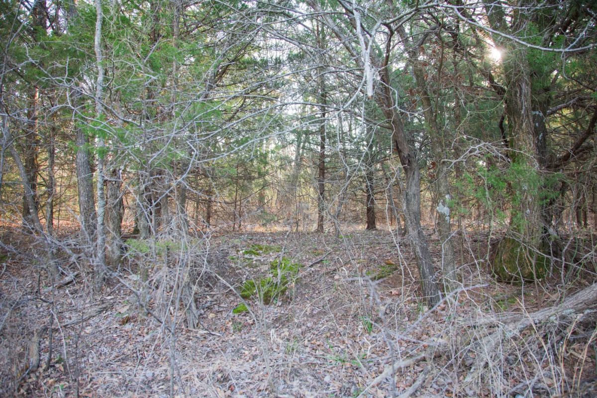 Decorative background for Eufaula Cove Tract 26 image 16