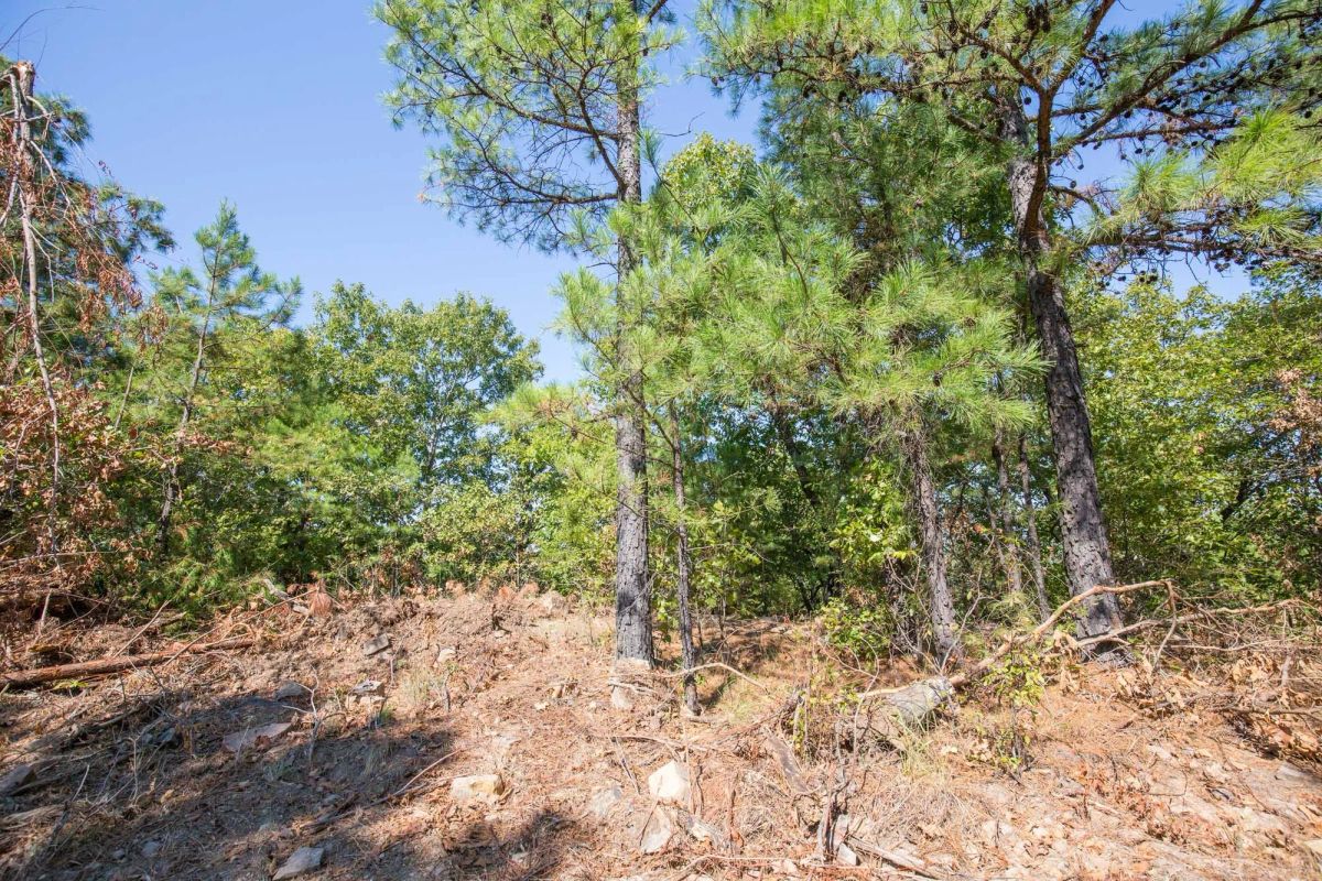 Stone Bridge Phase I Tract 71 - Image 2
