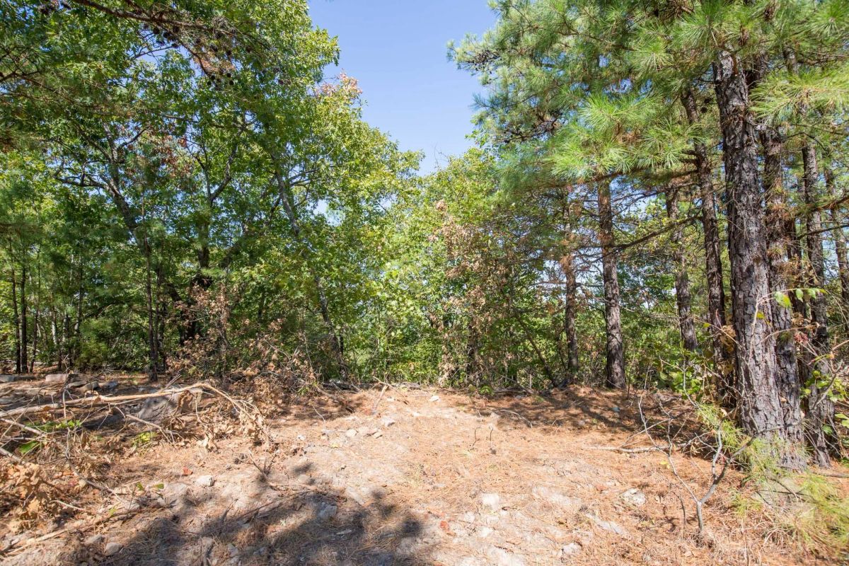 Stone Bridge Phase I Tract 71 - Image 3