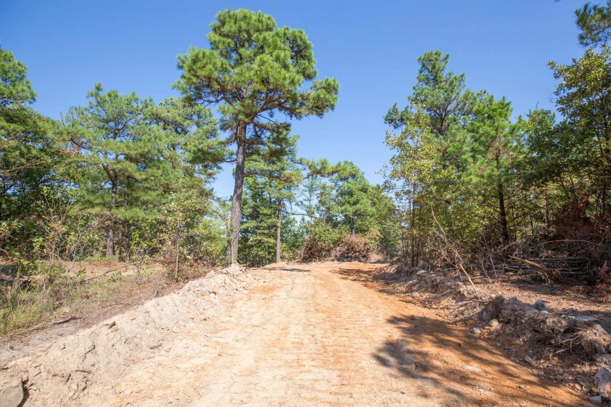 Stone Bridge Phase I Tract 71 - Image 4