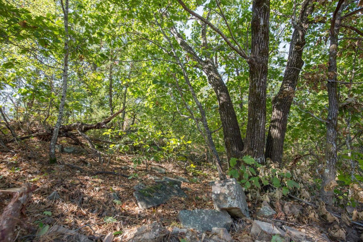 Decorative background for Stone Bridge Phase I Tract 71 image 5