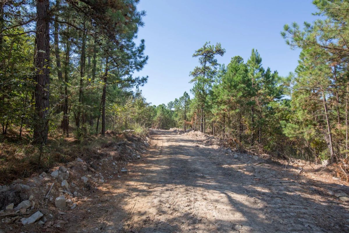 Decorative background for Stone Bridge Phase I Tract 71 image 6