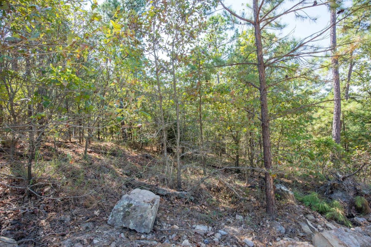 Decorative background for Stone Bridge Phase I Tract 71 image 9