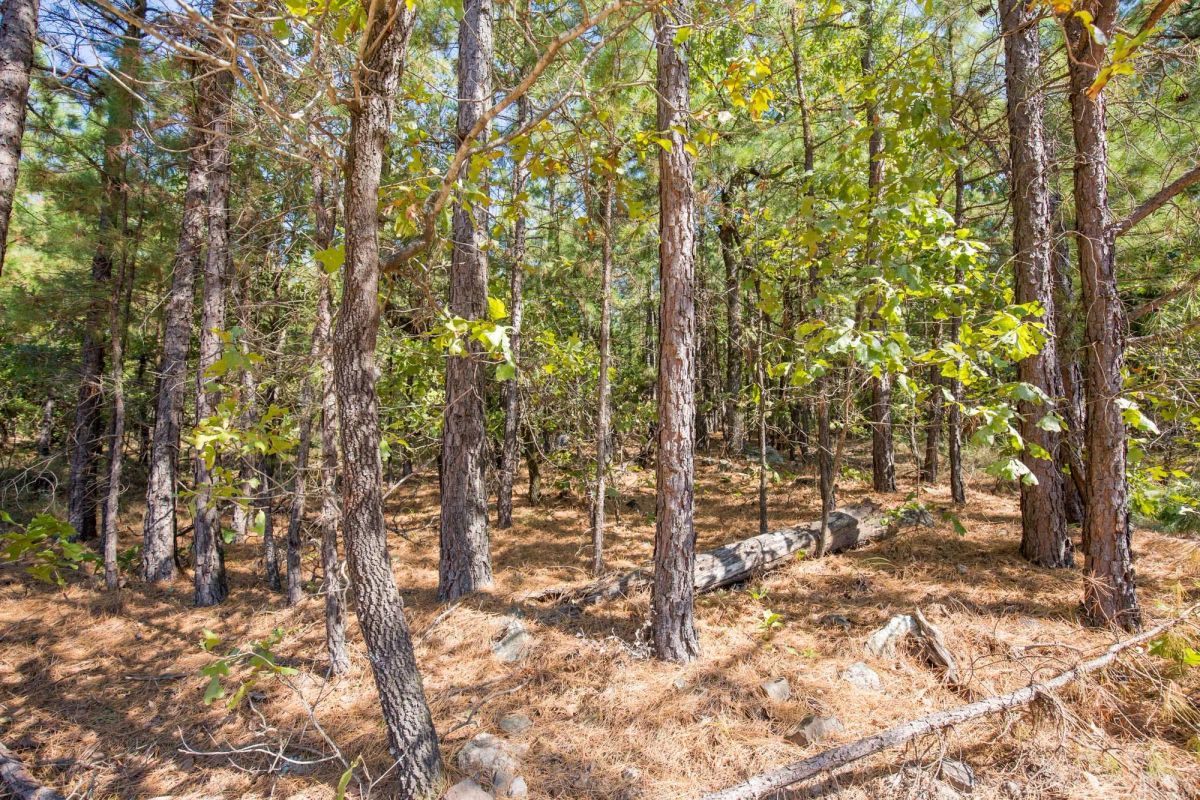 Decorative background for Stone Bridge Phase I Tract 71 image 10