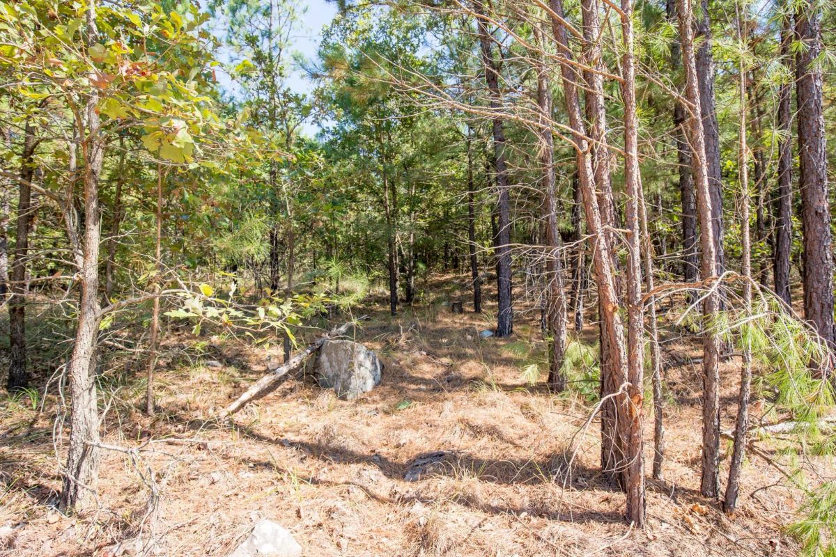 Decorative background for Stone Bridge Phase I Tract 71 image 12