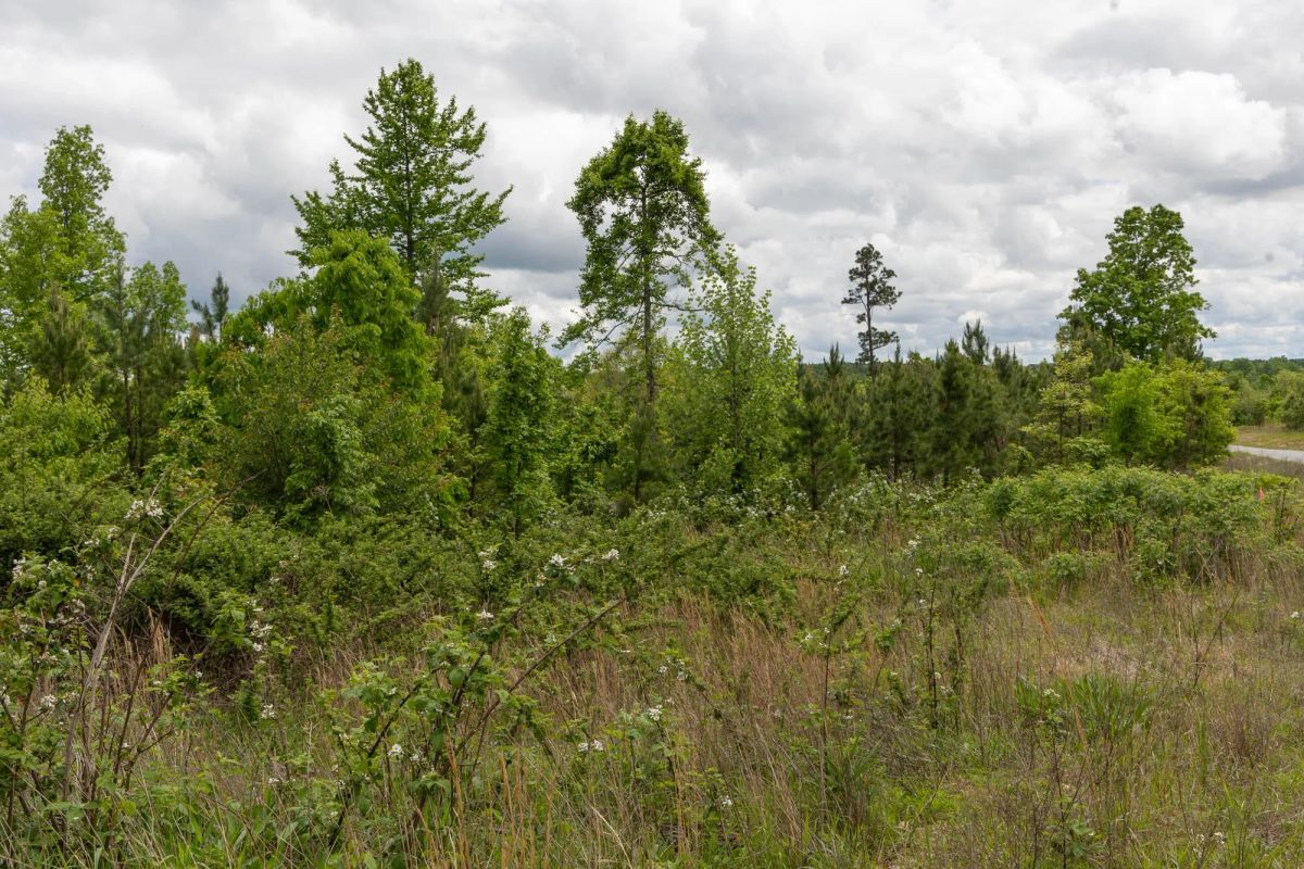 Sleepy Hollow Phase II Tract 85 - Main image