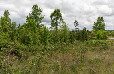 Sleepy Hollow Phase II Tract 85