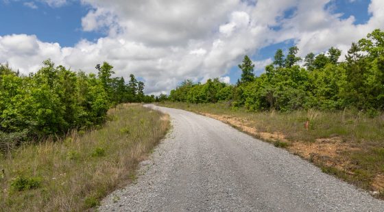 Sleepy Hollow Phase II Tract 85 in Texas County, MO
