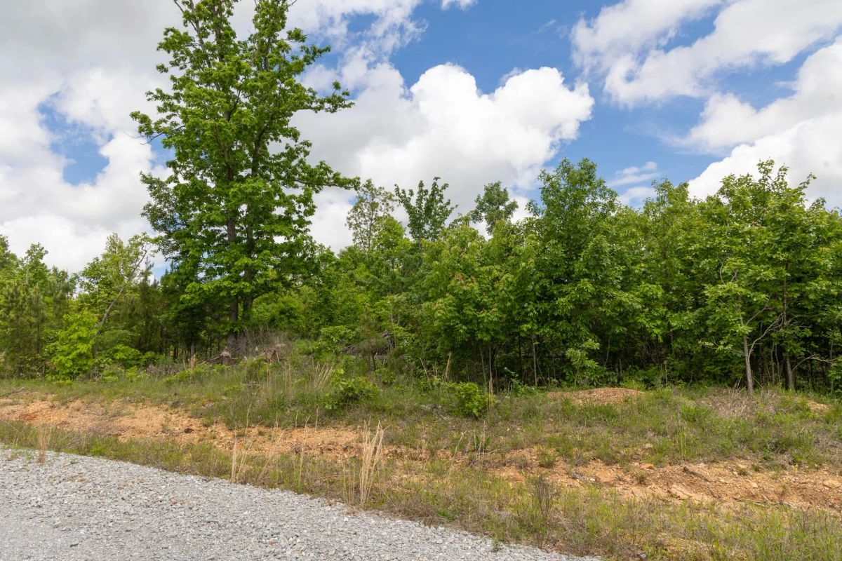 Sleepy Hollow Phase II Tract 85 - Image 4