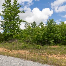 Sleepy Hollow Phase II Tract 85 in Texas County, MO