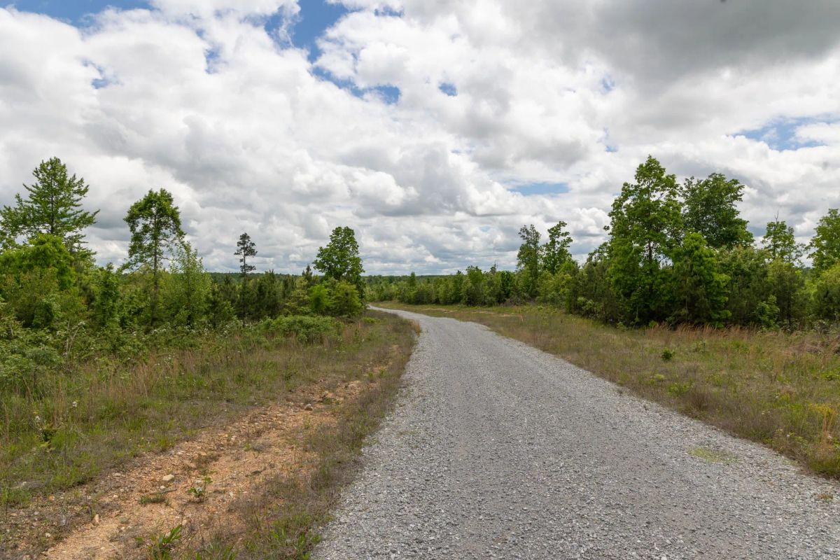 Decorative background for Sleepy Hollow Phase II Tract 85 image 6